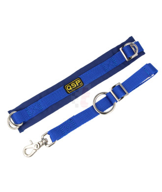 QSP Arm-Sicherungsgurt (SFI), blau