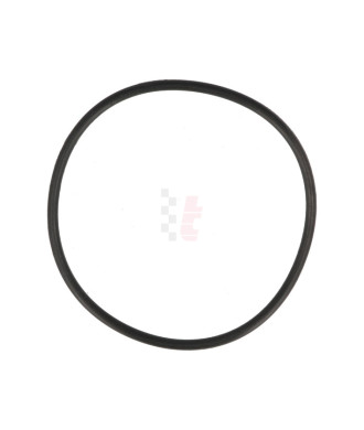 QSP Ersatz-O-Ring für Benzinpumpe Typ 044 (für Aufnahme in QSP Spezial-Catch-Tank)