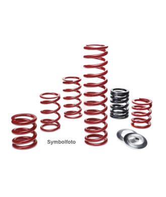 Eibach ERS-Feder Øi 60 mm / L 100 mm / Rate 240 N/mm